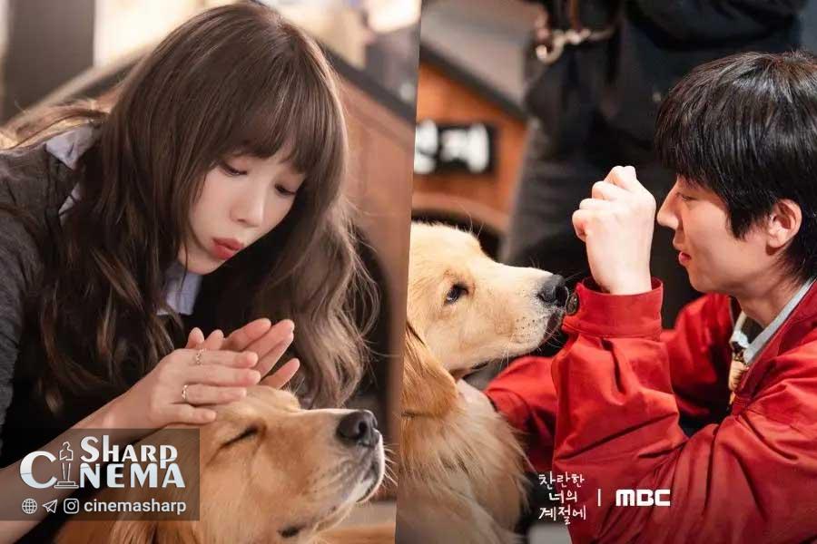 انرژی درخشان بازیگران سریال In Your Radiant Season