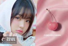 شفاف‌سازی شایعات درباره پروژه FOREVER:CHERRY جانگ وون‌یونگ