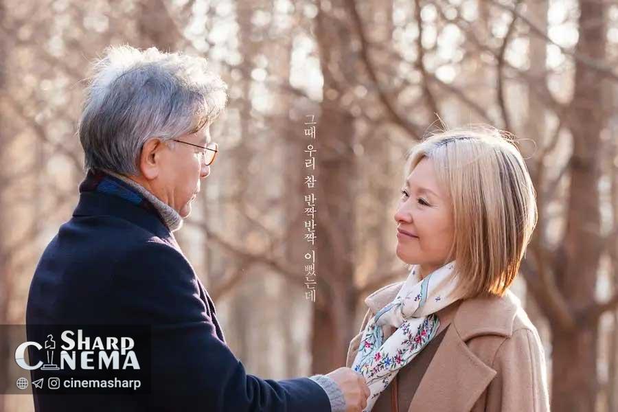 پوستر درام In Your Radiant Season با لی میسوک و کانگ سوک وو