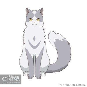 معرفی شخصیتها و بازیگران جدید انیمه The Cat and the Dragon