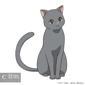 معرفی شخصیتها و بازیگران جدید انیمه The Cat and the Dragon