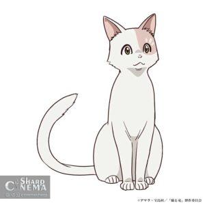 معرفی شخصیتها و بازیگران جدید انیمه The Cat and the Dragon