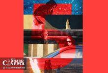 فیلم سینمایی خارپشت با پنج روایت درباره انتقام ساخته شد