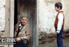 اکران خانه دوست کجاست در سینماهای روباز آتن