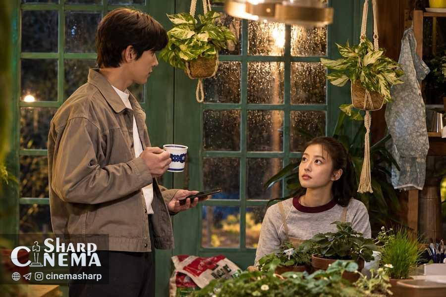 تصاویر عشق توتفرنگی با جی چانگ ووک و ایمادا میو
